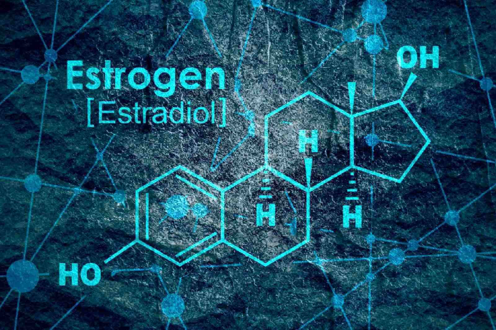Estrogen, estradiol, aromatase