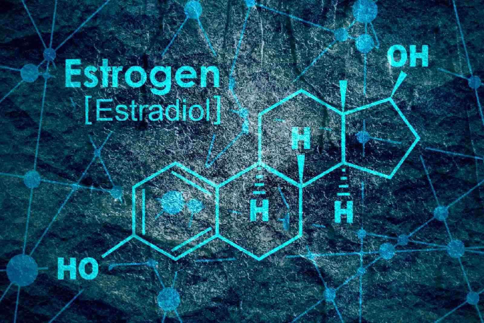 3 Proven Ways To Naturally Lower Estrogen In Men - Old School Trainer