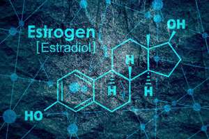 Estrogen, estradiol, aromatase