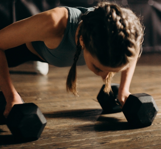 dumbbell plank rows