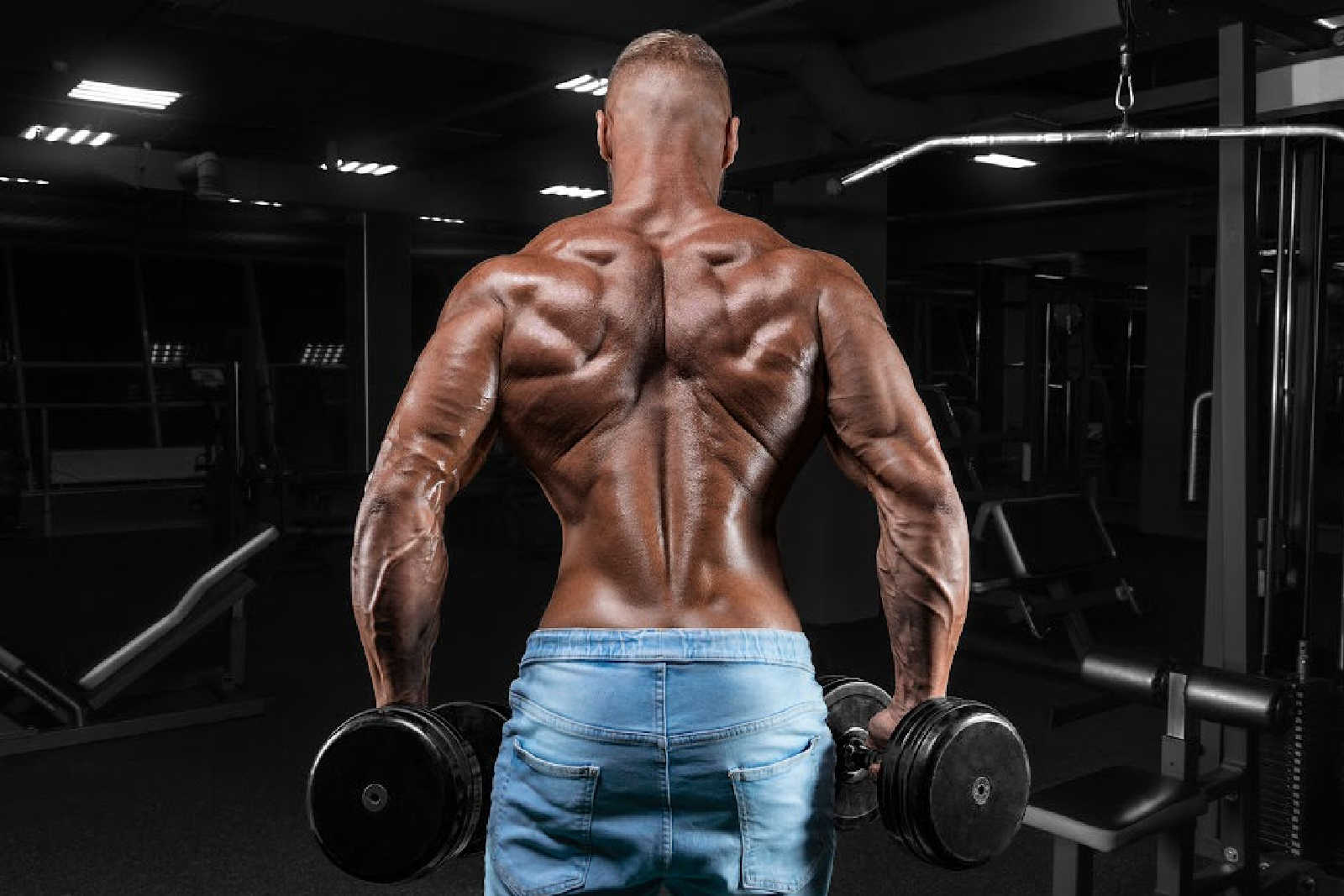 muscular man working out with dumbbells
