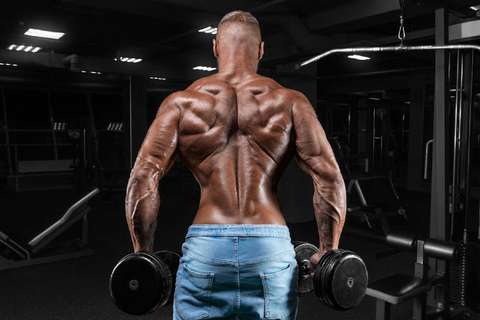 muscular man working out with dumbbells