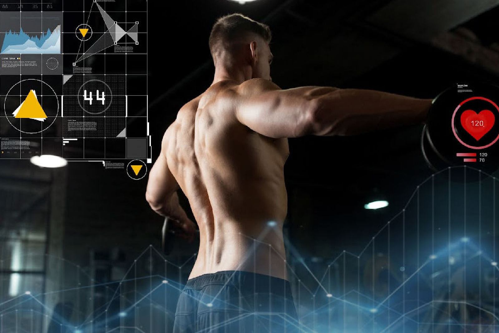 Dumbbell lateral raises