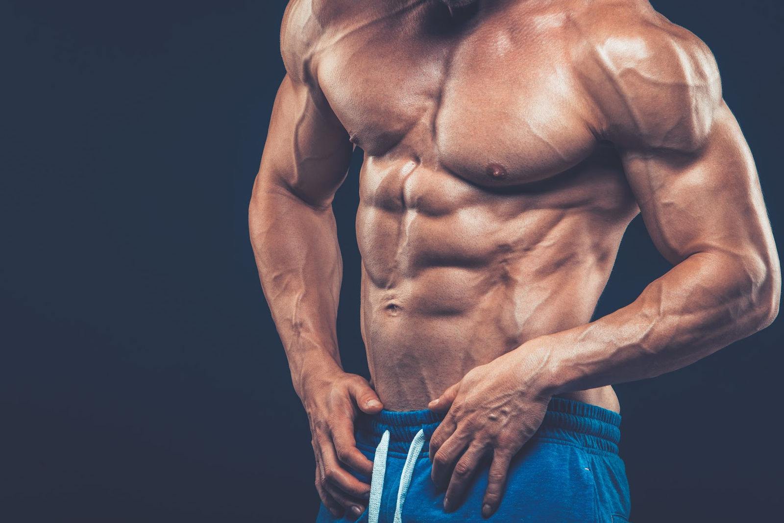 Muscular man physique