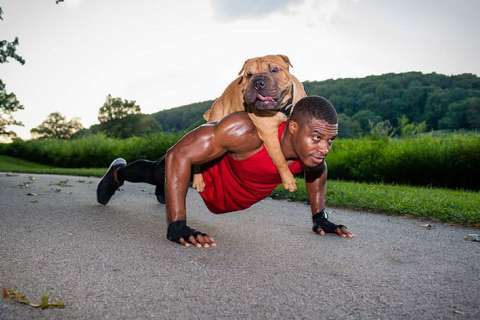 Push-up exercise